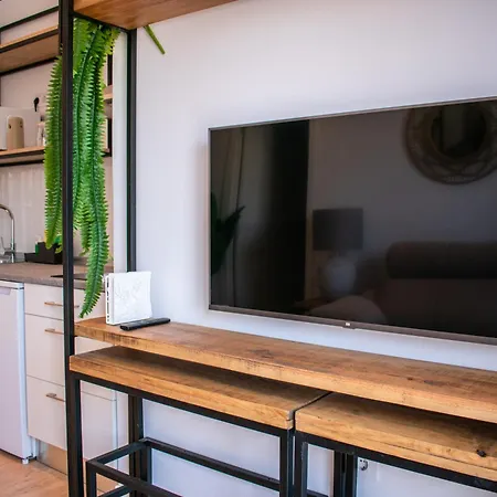 Ribera Del Rio 36 Apartment